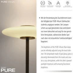 Paul Neuhaus LED Stehlampe PURE VITRUM 32 cm braun