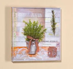 PRO ART Basic cellophaniert Bild SWEET HERBS I ROSMARIN 25 x 25 cm mehrfarbig