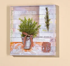 PRO ART Basic cellophaniert Bild SWEET HERBS I ROSMARIN 25 x 25 cm mehrfarbig