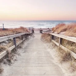 PRO ART Glas Art Bild SUNDOWN 20 x 20 cm Floatglas