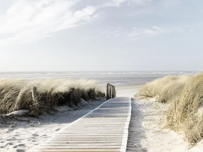 PRO ART Kunstdruck Bild SEEBLICK II 90 x 120 cm Rahmen mehrfarbig