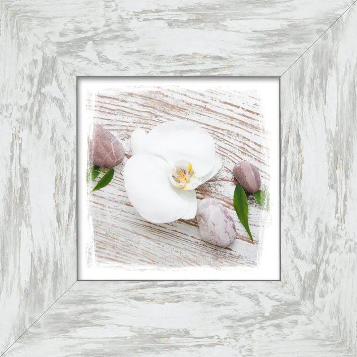 PRO ART New Classic Wood Bild WHITE SPRING IV 34 x 34 cm Rahmen grau