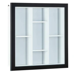 Sammlervitrine LENNY 66,5x66,5x13,7 cm Schwarz/Weiß