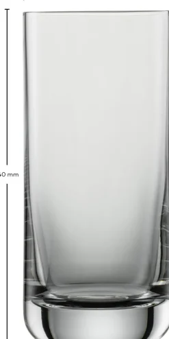 SCHOTT ZWIESEL Bierglas SIMPLE 6er Set 320 ml