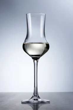 SCHOTT ZWIESEL Digestifglas CLASSICO 6er Set - je 95 ml