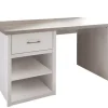 Schreibtisch LUCA 141 x 77 x 81 cm weiß/ braun