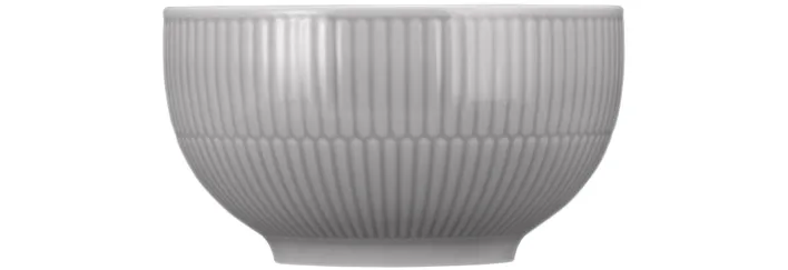 Seltmann Weiden Müslischale AMINA 2er Set Porzellan silbergrau