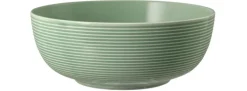 Seltmann Weiden Schale BEAT COLOR GLAZE 2er Set 20,4 cm salbeigrün