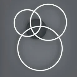 TRIO LED Deckenlampe WINONA 60 x 78 cm schwarz