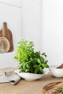 Villeroy & Boch Pastaschale VAPIANO 2er Set weiß