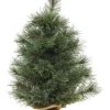 Weihnachtsbaum CASHMERE Mini 45 cm grün
