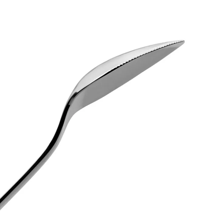 WMF Löffelset Grapefruit NUOVA 2-teilig Edelstahl