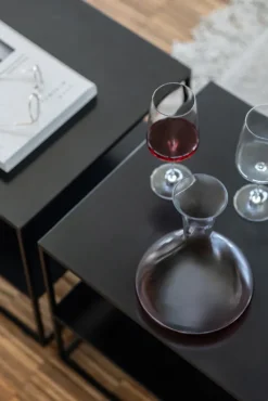 ZWIESEL Dekanter VIVID SENSEN Kristallglas